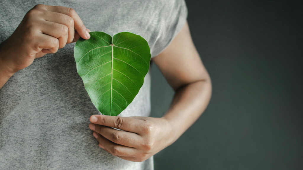 Person holding a heart-shaped leaf against their chest.